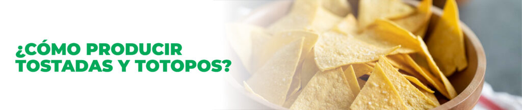 Guia de Produccion de Tostadas y Totopos